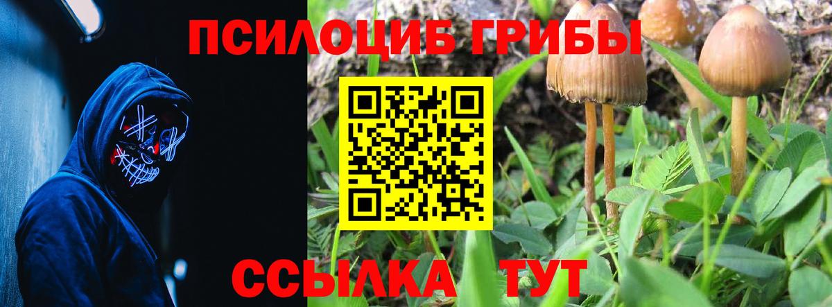 Псилоцибиновые грибы ЛСД  Вход с VPN  магазин продажи   Ярославль 